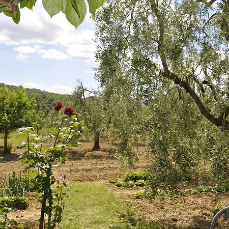 Appartamento La Casa Di Montelonti *