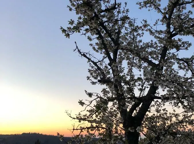 La Casa Di Montelonti Διαμέρισμα